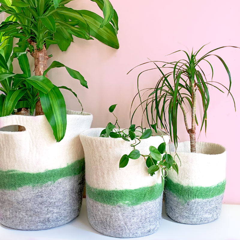 Evergreen Basket Set