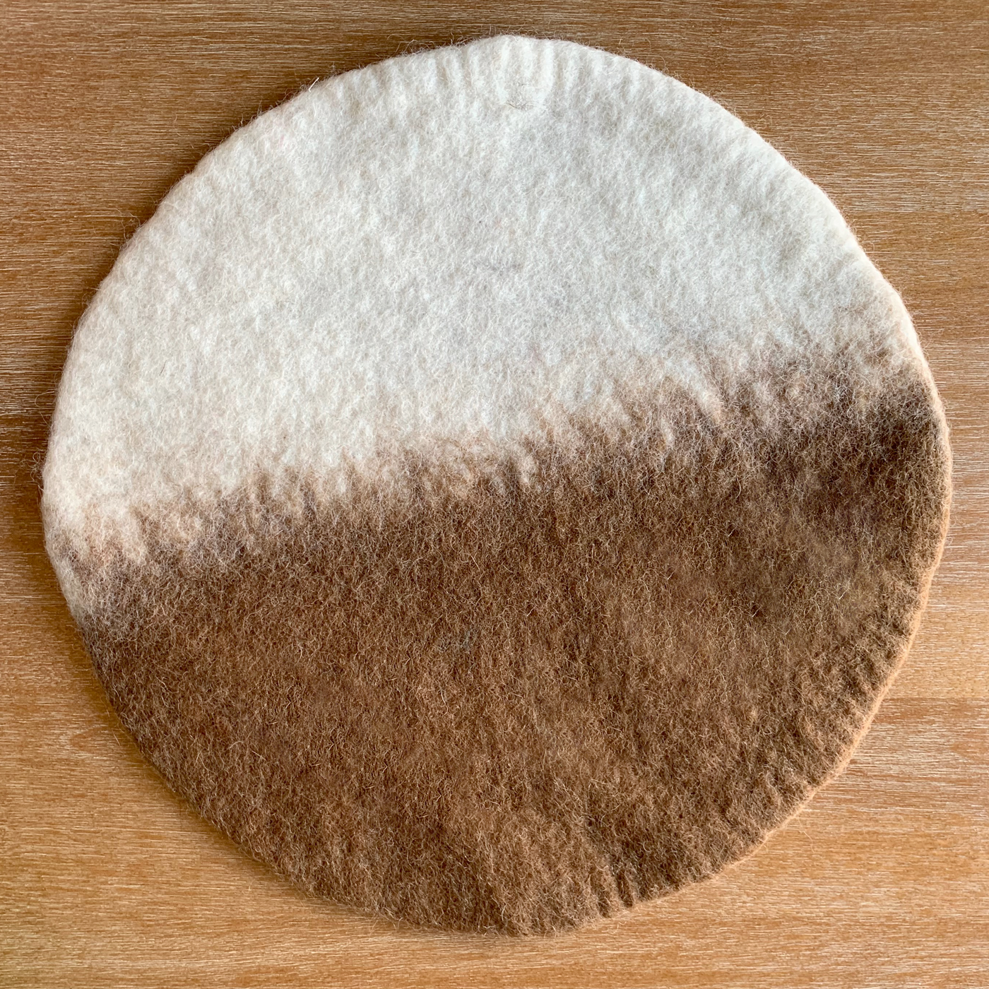 Earth Round Placemat