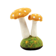 Two Mushroom