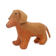 Dachshund