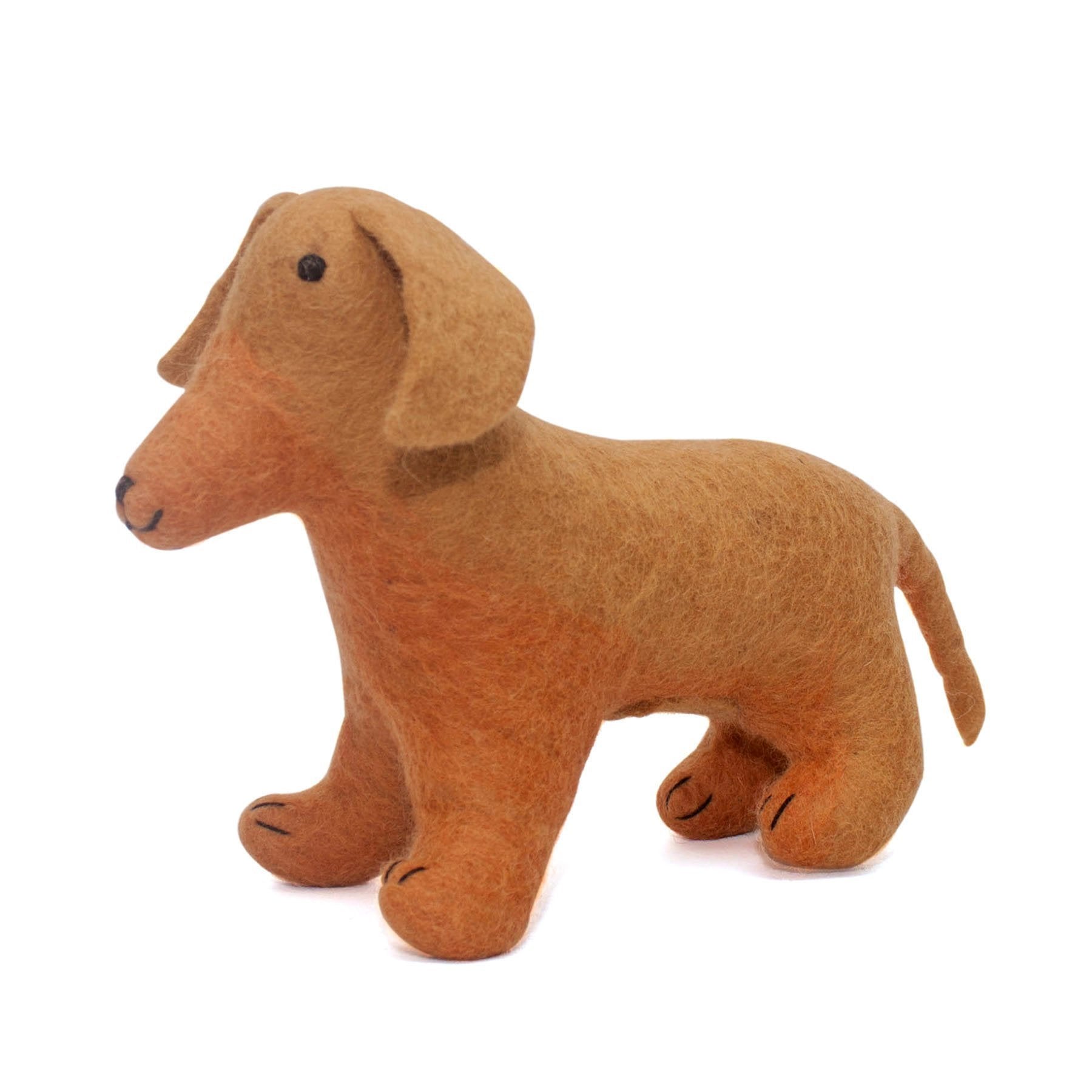 Dachshund