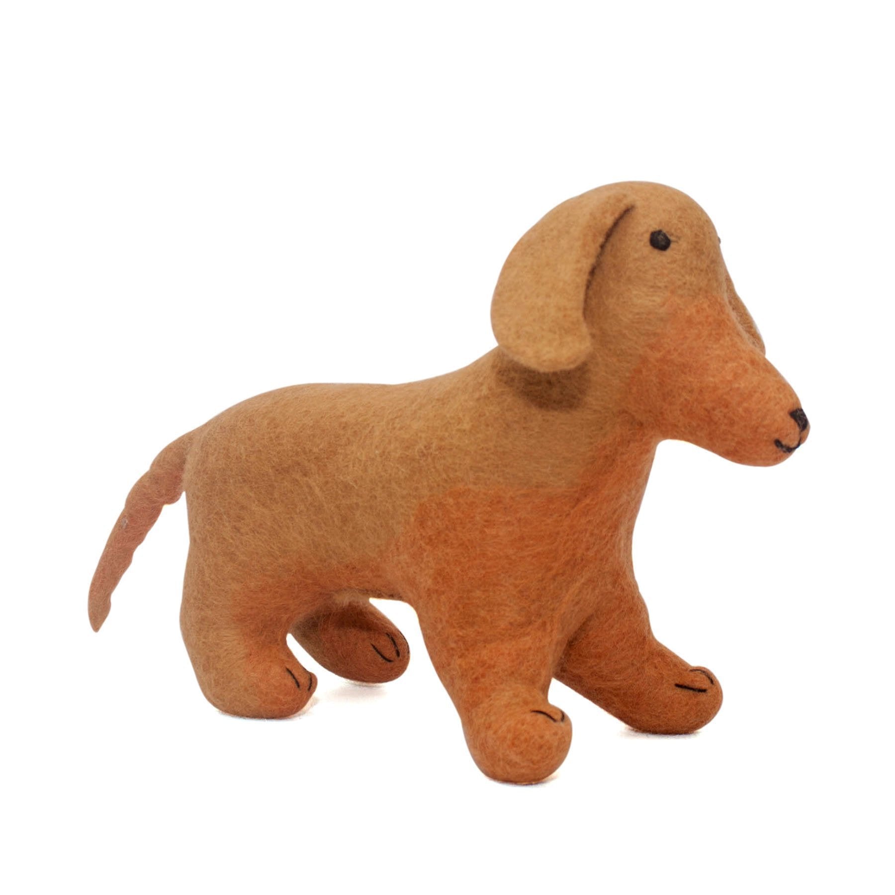 Dachshund