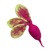 Beet Pet Toy